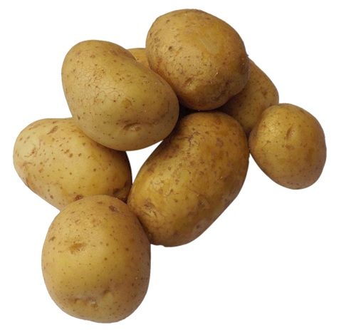 Exempel Svensk potatis